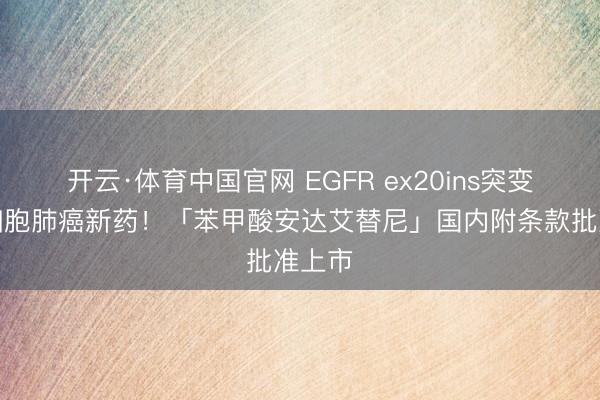 开云·体育中国官网 EGFR ex20ins突变非小细胞肺癌新药！「苯甲酸安达艾替尼」国内附条款批准上市