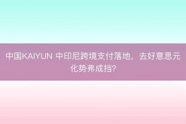 中国KAIYUN 中印尼跨境支付落地，去好意思元化势弗成挡？