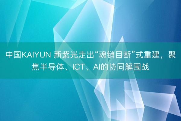 中国KAIYUN 新紫光走出“魂销目断”式重建，聚焦半导体、ICT、AI的协同解围战