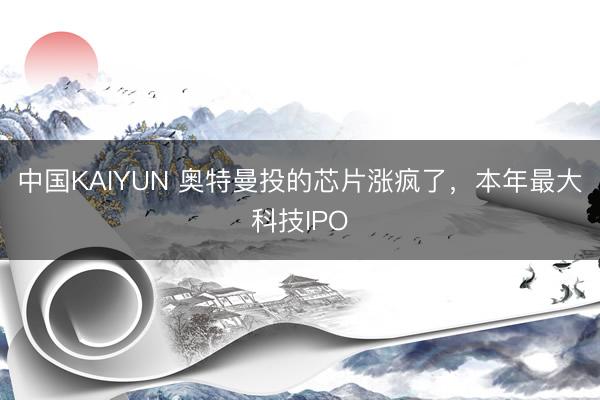 中国KAIYUN 奥特曼投的芯片涨疯了，本年最大科技IPO